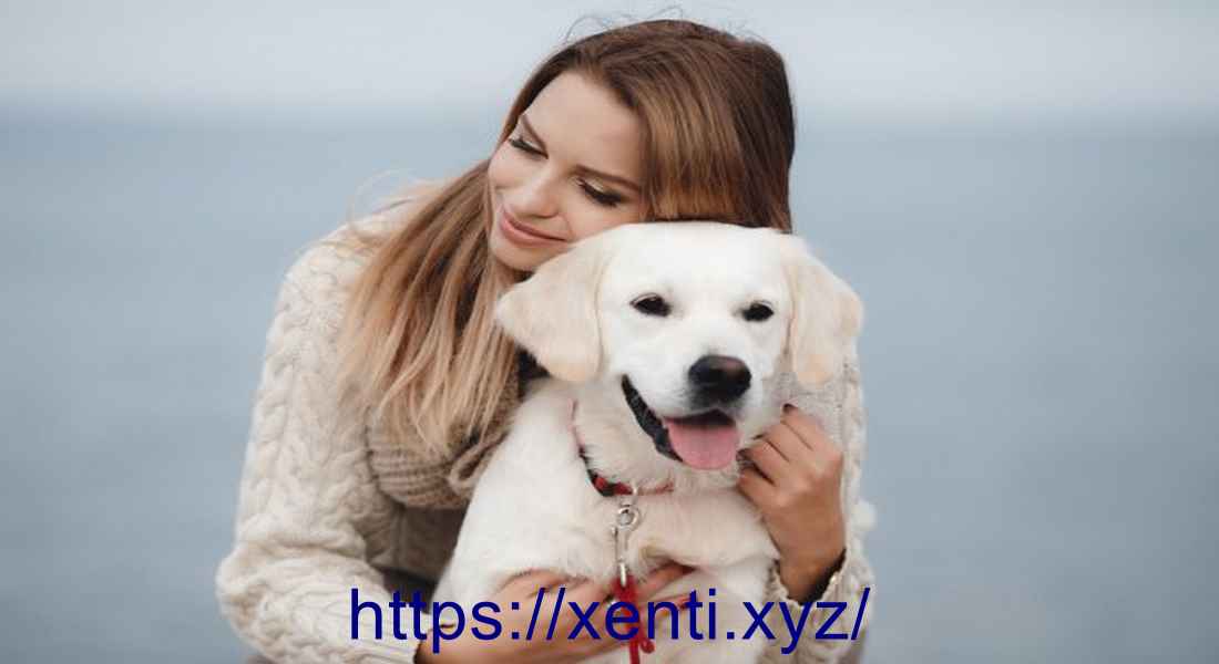 The Best Dog Breeds for Every Lifestyle